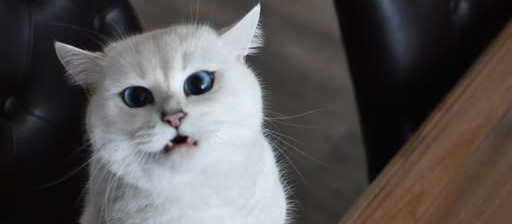 Testing title, this is edited abcdefghijklmkop