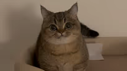 you are hacked