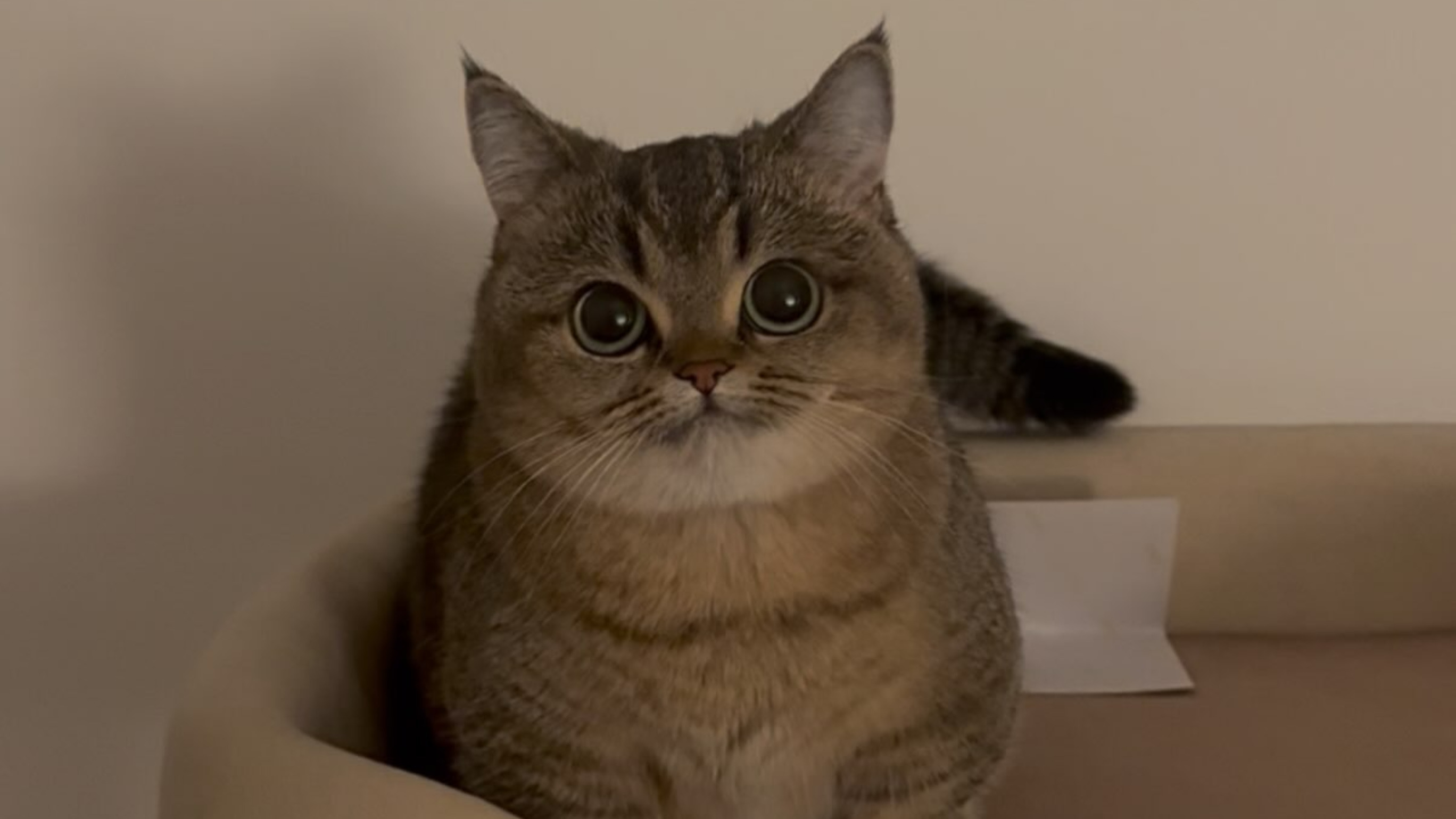 you are hacked