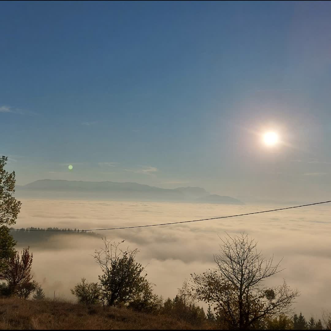 Post by Nihad Hasanović