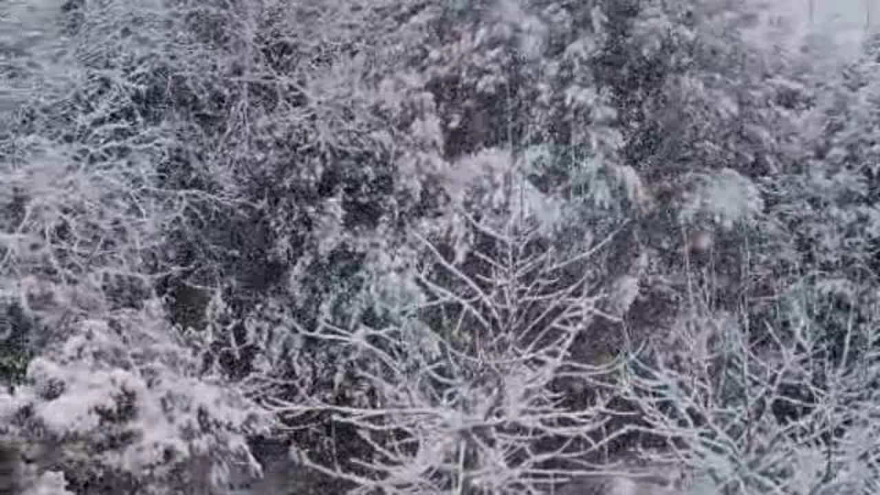 
‎ ‎ ‎ ‎ ‎ ‎ ‎ ‎ ‎ ‎ ‎ ‎ ‎ ‎ ‎ ‎ ‎ ‎ ‎ ‎ ‎ ‎ ‎ ‎ ‎ ‎ ‎ ‎ ‎ ‎ ‎ ‎ ‎ ‎ ‎ ‎ ‎ ‎ ‎ ‎ ‎ ‎ ‎ ‎ ‎ ‎ ‎ ‎ ‎ ‎ ‎ ‎ ‎ ‎ ‎ ‎ ‎ ‎ ‎ ‎ ‎ ‎ ‎ ‎ ‎ ‎ ‎ ‎ ‎ ‎ ‎ ‎ ‎ ‎ ‎ ‎ ‎ ‎ ‎ ‎ ‎ ‎ ‎ ‎ ‎ ‎ ‎ ‎ ‎ ‎ ‎ ‎ ‎ ‎ ‎ ‎ ‎ ‎ ‎ ‎ ‎ ‎ ‎ ‎ ‎ ‎ ‎ ‎ ‎ ‎ ‎ ‎ ‎ ‎ ‎ ‎ ‎ ‎ ‎ ‎ ‎ ‎ ‎ ‎ ‎ ‎ ‎ ‎ ‎ ‎ ‎ ‎ ‎ ‎ ‎ ‎ ‎ ‎ ‎ ‎ ‎ ‎ ‎ ‎ ‎ ‎ ‎ ‎ ‎ ‎ ‎ ‎ ‎ ‎ ‎ ‎ ‎ ‎ ‎ ‎ ‎ ‎ ‎ ‎ ‎ ‎ ‎ ‎ ‎ ‎ ‎ ‎ ‎ ‎ ‎ ‎ ‎ ‎ ‎ ‎ ‎ ‎ ‎ ‎ ‎ ‎ ‎ ‎ ‎ ‎ ‎ ‎ ‎ ‎ ‎ ‎ ‎ ‎ ‎ ‎ ‎ ‎ ‎ ‎ ‎ ‎ ‎ ‎ ‎ ‎ ‎ ‎ ‎ ‎ ‎ ‎ ‎ ‎ ‎ ‎ ‎ ‎ ‎ ‎ ‎ ‎ ‎ ‎ ‎ ‎ ‎ ‎ ‎ ‎ ‎ ‎ ‎ ‎ ‎ ‎ ‎ ‎ ‎ ‎ ‎ ‎ ‎ ‎ ‎ ‎ ‎ ‎ ‎ ‎ ‎ ‎ ‎ ‎ ‎ ‎ ‎ ‎ ‎ ‎ ‎ ‎ ‎ ‎ ‎ ‎ ‎ ‎ ‎ ‎ ‎ ‎ ‎ ‎ ‎ ‎ ‎ ‎ ‎ ‎ ‎ ‎ ‎ ‎ ‎ ‎ ‎ ‎ ‎ ‎ ‎ ‎ ‎ ‎ ‎ ‎ ‎ ‎ ‎ ‎ ‎ ‎ ‎ ‎ ‎ ‎ ‎ ‎ ‎ ‎ ‎ ‎ ‎ ‎ ‎ ‎ ‎ ‎ ‎ ‎ ‎ ‎ ‎ ‎ ‎ ‎ ‎ ‎ ‎ ‎ ‎ ‎ ‎ ‎ ‎ ‎ ‎ ‎ ‎ ‎ ‎ ‎ ‎ ‎ ‎ ‎ ‎ ‎ ‎ ‎ ‎ ‎ ‎ ‎ ‎ ‎ ‎ ‎ ‎ ‎ ‎ ‎ ‎ ‎ ‎ ‎ ‎ ‎ ‎ ‎ ‎ ‎ ‎ ‎ ‎ ‎ ‎ ‎ ‎ ‎ ‎ ‎ ‎ ‎ ‎ ‎ ‎ ‎ ‎ ‎ ‎ ‎ ‎ ‎ ‎ ‎ ‎ ‎ ‎ ‎ ‎ ‎ ‎ ‎ ‎ ‎ ‎ ‎ ‎ ‎ ‎ ‎ ‎ ‎ ‎ ‎ ‎ ‎ ‎ ‎ ‎ ‎ ‎ ‎ ‎ ‎ ‎ ‎ ‎ ‎ ‎ ‎ ‎ ‎ ‎ ‎ ‎ ‎ ‎ ‎ ‎ ‎ ‎ ‎ ‎ ‎ ‎ ‎ ‎ ‎ ‎ ‎ ‎ ‎ ‎ ‎ ‎ ‎ ‎ ‎ ‎ ‎ ‎ ‎ ‎ ‎ ‎ ‎ ‎ ‎ ‎ ‎ ‎ ‎ ‎ ‎ ‎ ‎ ‎ ‎ ‎ ‎ ‎ ‎ ‎ ‎ ‎ ‎ ‎ ‎ ‎ ‎ ‎ ‎ ‎ ‎ ‎ ‎ ‎ ‎ ‎ ‎ ‎ ‎ ‎ ‎ ‎ ‎ ‎ ‎ ‎ ‎ ‎ ‎ ‎ ‎ ‎ ‎ ‎ ‎ ‎ ‎ ‎ ‎ ‎ ‎ ‎ ‎ ‎ ‎ ‎ ‎ ‎ ‎ ‎ ‎ ‎ ‎ ‎ ‎ ‎ ‎ ‎ ‎ ‎ ‎ ‎ ‎ ‎ ‎ ‎ ‎ ‎ ‎ ‎ ‎ ‎ ‎ ‎ ‎ ‎ ‎ ‎ ‎ ‎ ‎ ‎ ‎ ‎ ‎ ‎ ‎ ‎ ‎ ‎ ‎ ‎ ‎ ‎ ‎ ‎ ‎ ‎ ‎ ‎ ‎ ‎ ‎ ‎ ‎ ‎ ‎ ‎ ‎ ‎ ‎ ‎ ‎ ‎ ‎ ‎ ‎ ‎ ‎ ‎ ‎ ‎ ‎ ‎ ‎ ‎ ‎ ‎ ‎ ‎ ‎ ‎ ‎ ‎ ‎ ‎ ‎ ‎ ‎ ‎ ‎ ‎ ‎ ‎ ‎ ‎ ‎ ‎ ‎ ‎ ‎ ‎ ‎ ‎ ‎ ‎ ‎ ‎ ‎ ‎ ‎ ‎ ‎ ‎ ‎ ‎ ‎ ‎ ‎ ‎ ‎ ‎ ‎ ‎ ‎ ‎ ‎ ‎ ‎ ‎ ‎ ‎ ‎ ‎ ‎ ‎ ‎ ‎ ‎ ‎ ‎ ‎ ‎ ‎ ‎ ‎ ‎ ‎ ‎ ‎ ‎ ‎ ‎ ‎ ‎ ‎ ‎ ‎ ‎ ‎ ‎ ‎ ‎ ‎ ‎ ‎ ‎ ‎ ‎ ‎ ‎ ‎ ‎ ‎ ‎ ‎ ‎ ‎ ‎ ‎ ‎ ‎ ‎ ‎ ‎ ‎ ‎ ‎ ‎ ‎ ‎ ‎ ‎ ‎ ‎ ‎ ‎ ‎ ‎ ‎ ‎ ‎ ‎ ‎ ‎ ‎ ‎ ‎ ‎ ‎ ‎ ‎ ‎ ‎ ‎ ‎ ‎ ‎ ‎ ‎ ‎ ‎ ‎ ‎ ‎ ‎ ‎ ‎ ‎ ‎ ‎ ‎ ‎ ‎ ‎ ‎ ‎ ‎ ‎ ‎ ‎ ‎ ‎ ‎ ‎ ‎ ‎ ‎ ‎ ‎ ‎ ‎ ‎ ‎ ‎ ‎ ‎ ‎ ‎ ‎ ‎ ‎ ‎ ‎ ‎ ‎ ‎ ‎ ‎ ‎ ‎ ‎ ‎ ‎ ‎ ‎ ‎ 